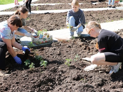 акция "Росток"