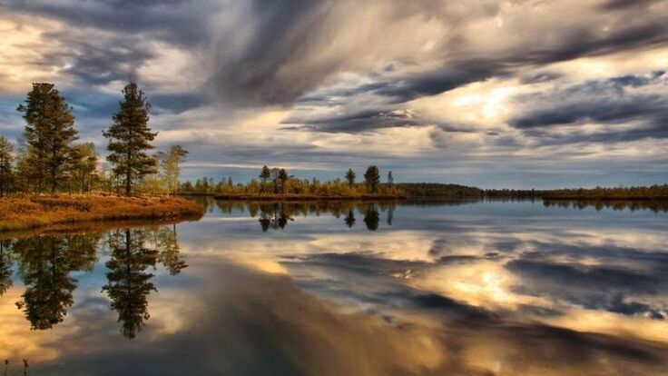 Здесь мы живём, учимся, взрослеем